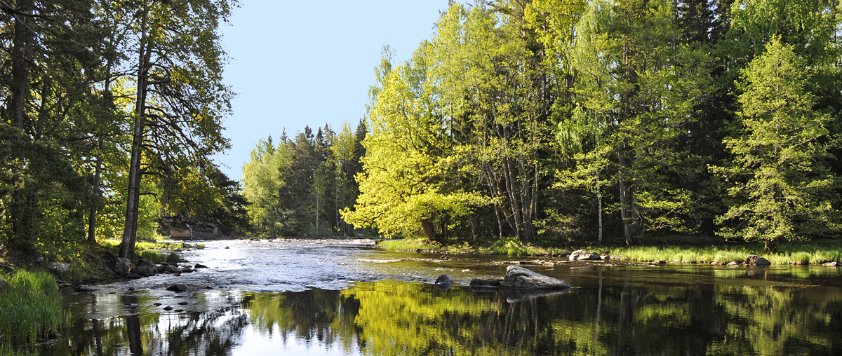 Bayerwald Gutscheine einlösen