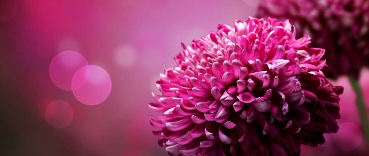 Geschenkgutschein für den Bayerischen Wald