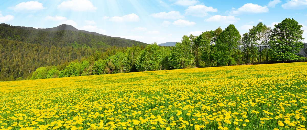 Urlaubsgutschein für den Bayerischen Wald